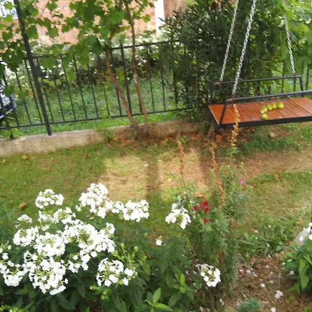Standard Apartamento *