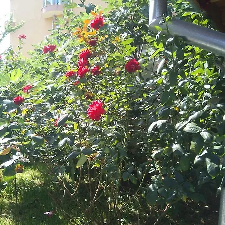 Apartamento Standard Primorsko